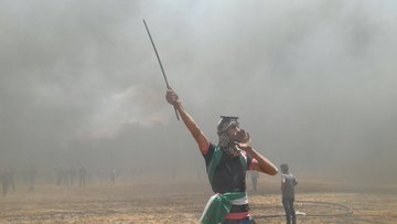 在 Twitter 上查看图片