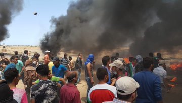 在 Twitter 上查看图片