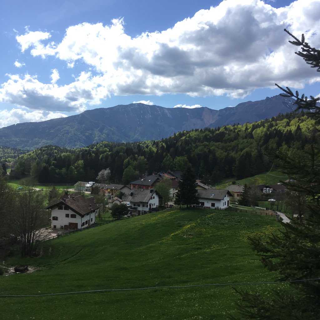 Hello Trentino tweet media