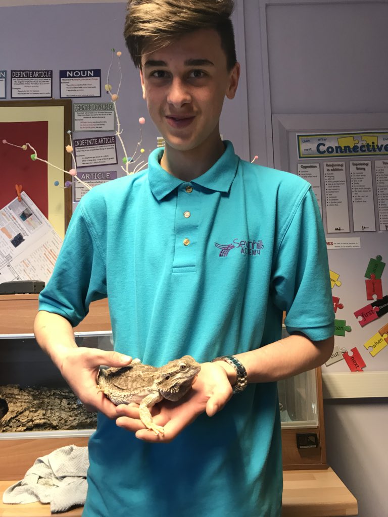 Sevenhills___'s tweet photo. Meet the newest member of #PLGClyde Ernie the bearded dragon!! Settling in nicely in his new home. #erniethedragon #livingthings #caringforcreatures https://t.co/fb8XkYX5PS
