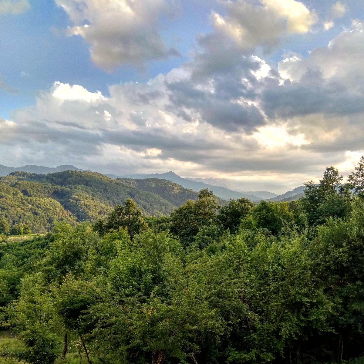 karashkahouse's tweet photo. The view.
#view #forest #mountain #karashkahouse #trees #balkan #sky #natural #relax #българия #bulgaria #karashka #balkans #spring #easy #trawel #bulgariannature #балкан #stokite #attraction #централенбалкан #guesthouse #bulgarian #wildlife #къщазагости https://t.co/TEh1AKmDaf