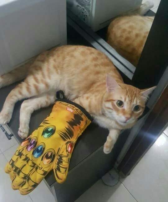 Spidey. (Saw Endgame.) (@tonysapprentice) on Twitter photo 