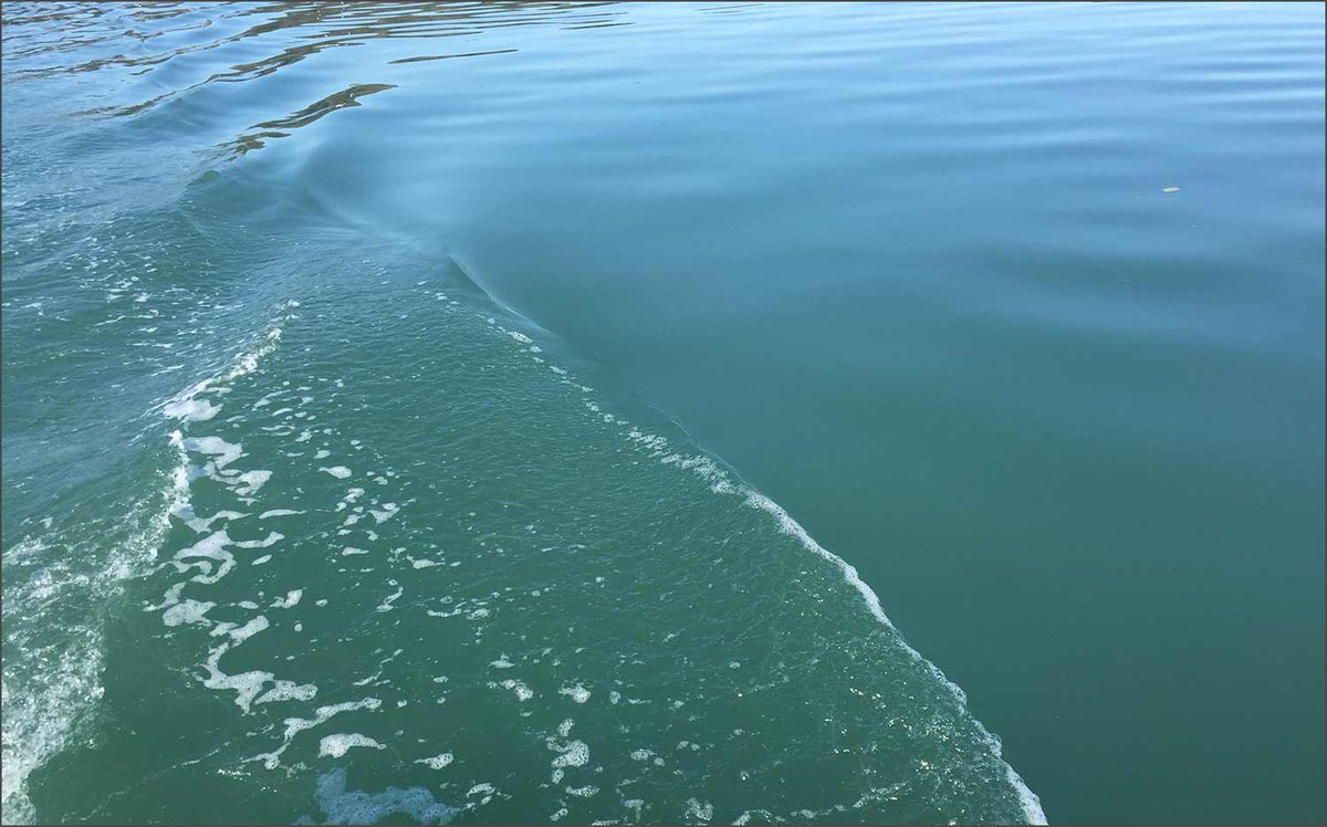 liquidscapes18's tweet photo. Valuing Landscape: invitation to all presenters - Invitation to presenters
Jake Elster-Jones from Revaluation will be running an action learning stream throughout Liquidscapes to... Read more at https://t.co/NOrNUfZ9J1 Invitation to presenters
Jake Elster-Jones from ... https://t.co/gad9YUr1Zq