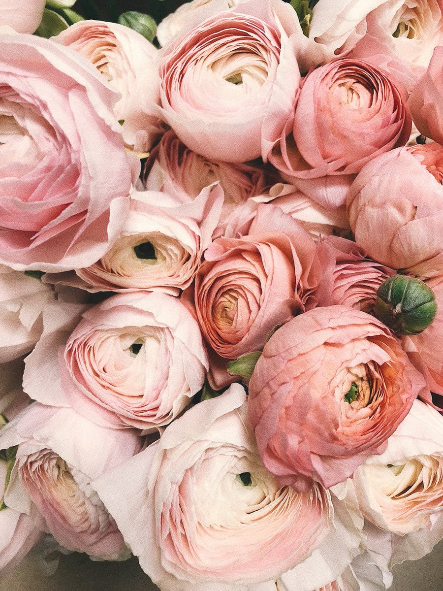 Secret garden 🌷 we wonder what #meghanmarkle bouquet will look like. #weddingbouquet #weddinggoalsyorkshire