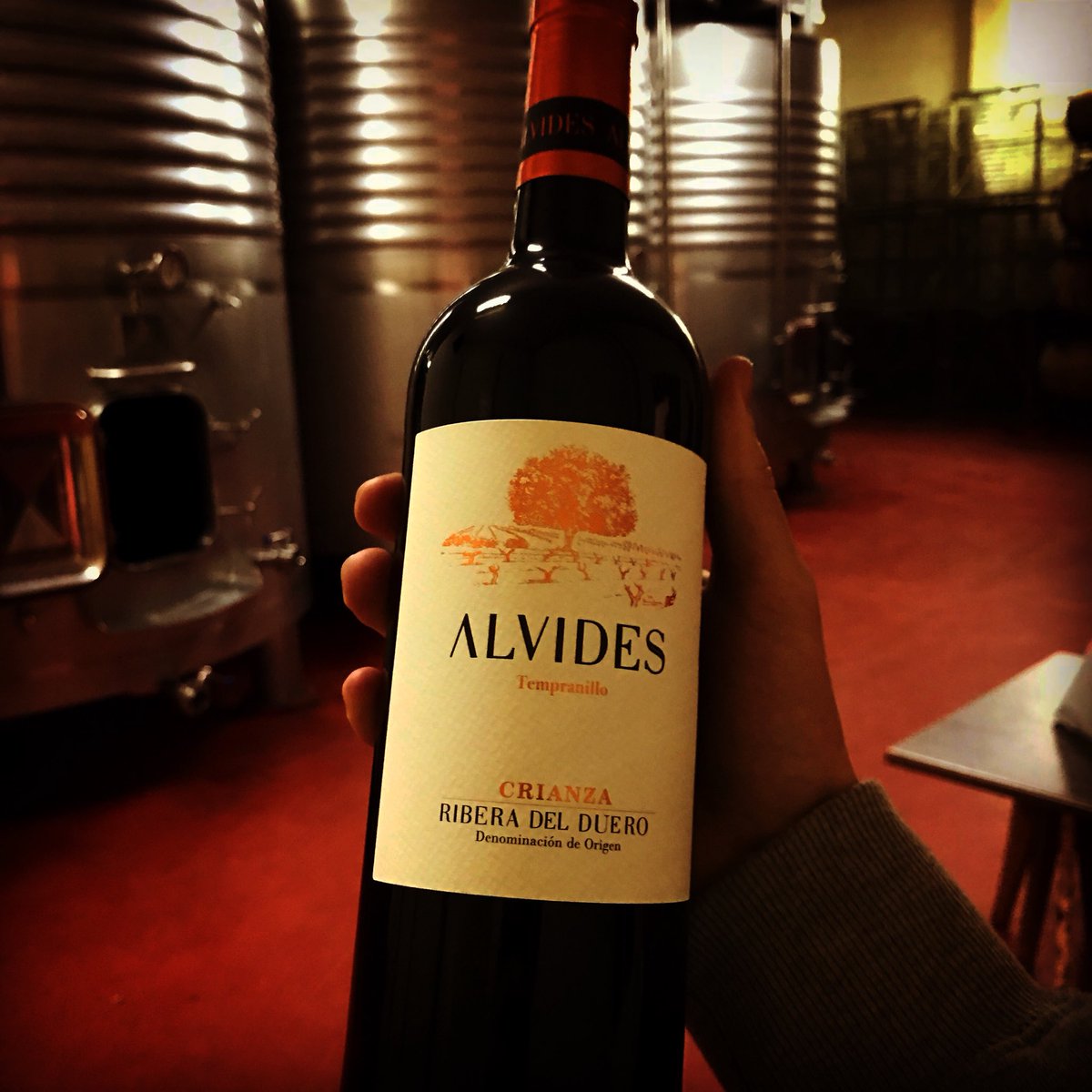 Bodega Alvides tweet media