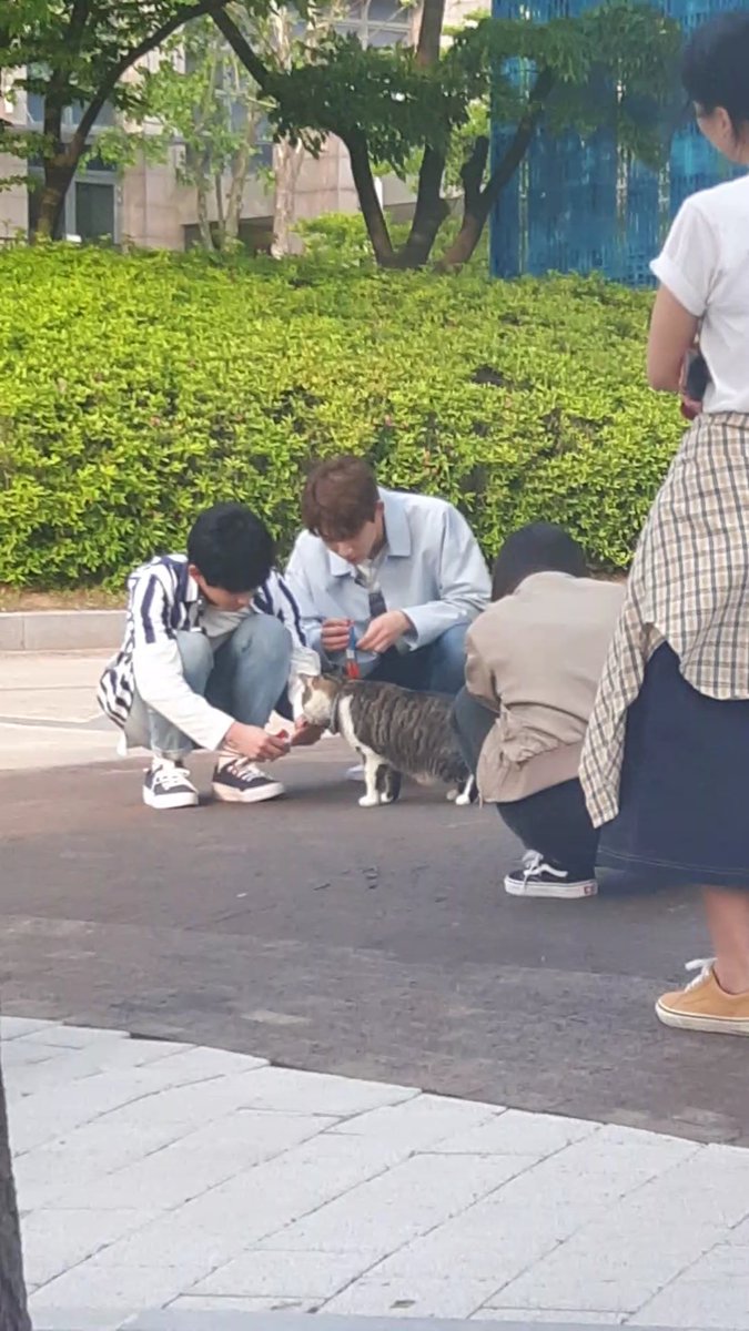 aFIcs2cUZ2AJuLY's tweet photo. 추가하자면.. https://t.co/49xtMsmxX4