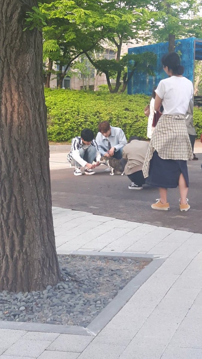 aFIcs2cUZ2AJuLY's tweet photo. 추가하자면.. https://t.co/49xtMsmxX4