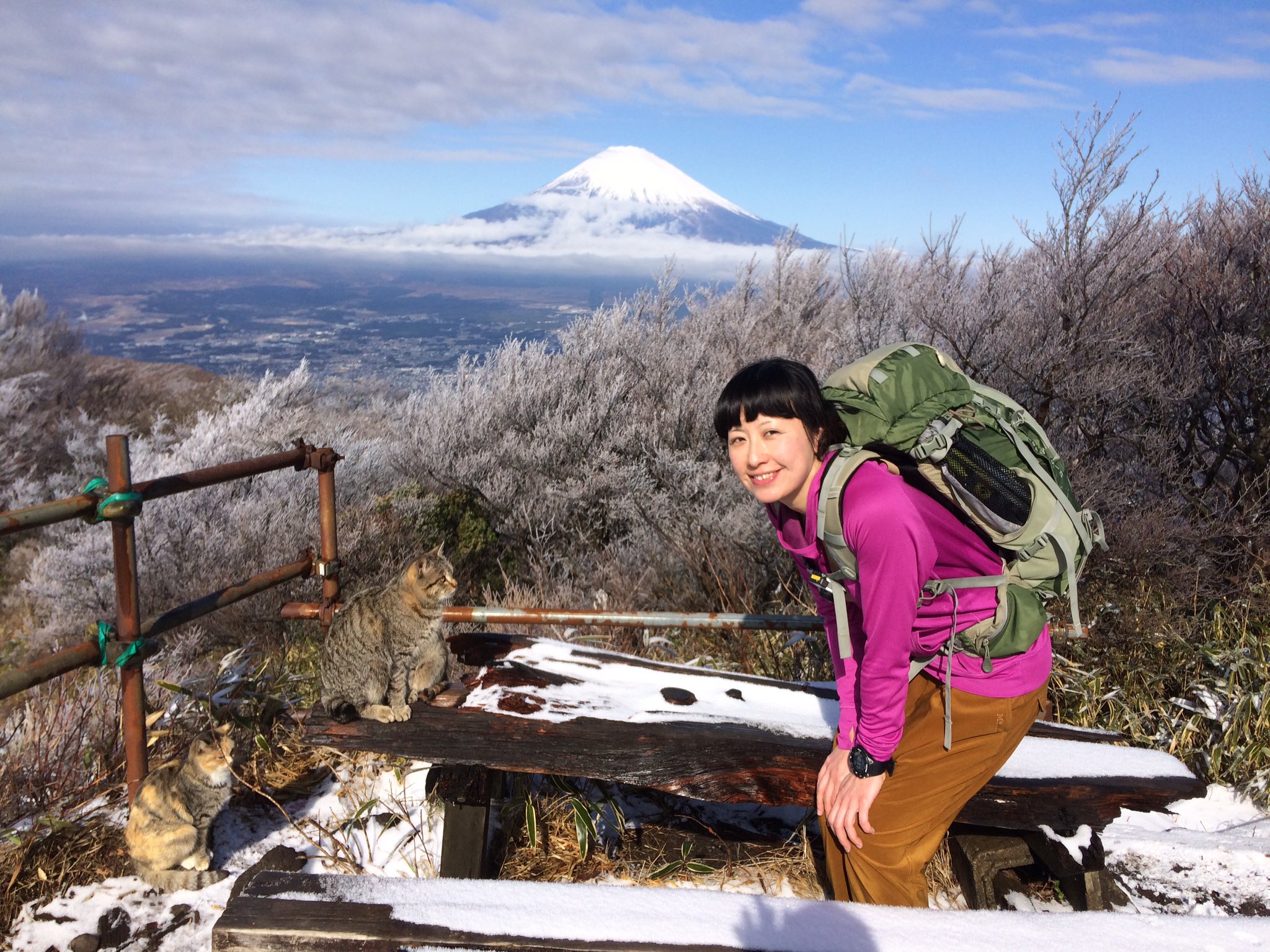 金時山山頂 Twitter Search Twitter