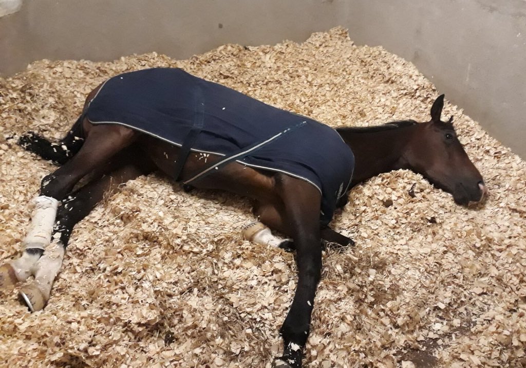 SimcockRacing's tweet photo. Early this morning in Paris ๐ #Teppal https://t.co/X6uh3EoGdt