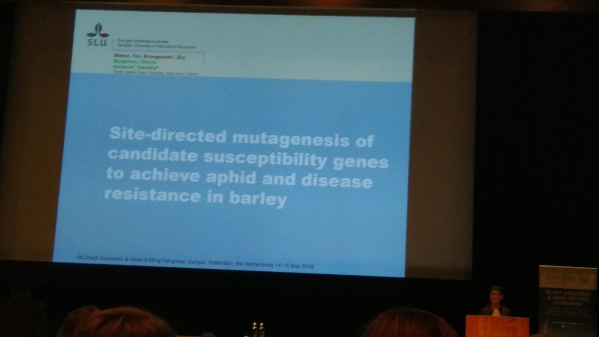 Genome editing for aphids resistance speaking #PlantGenomicsGE