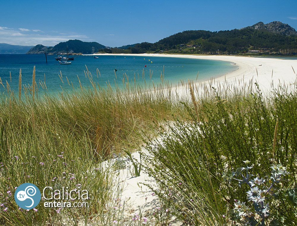 ViajandoconPio's tweet photo. 🌞 Galicia Enteira 👍🏻  Te ayudamos a conocer Galicia   VISÍTANOS 👉🏻 https://t.co/kdYDqmYGb1 #turismogalicia https://t.co/EoaVjOnEue
