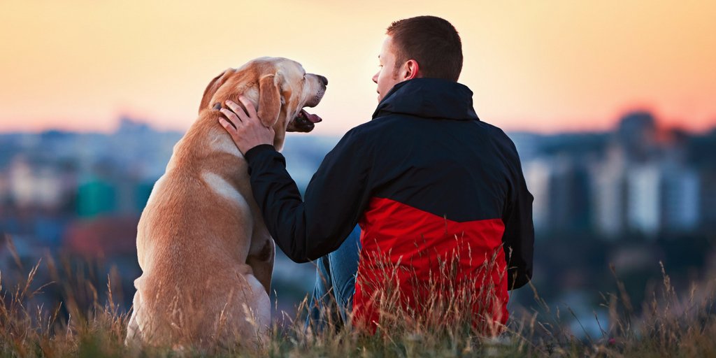 Dogs can have a positive effect on your mental health! Regular walks, exercise, fresh air and contact with dogs can help lower levels of the “stress hormone” cortisol and increase levels of the “love hormone” oxytocin! ❤️   #MentalHealthAwarenessWeek