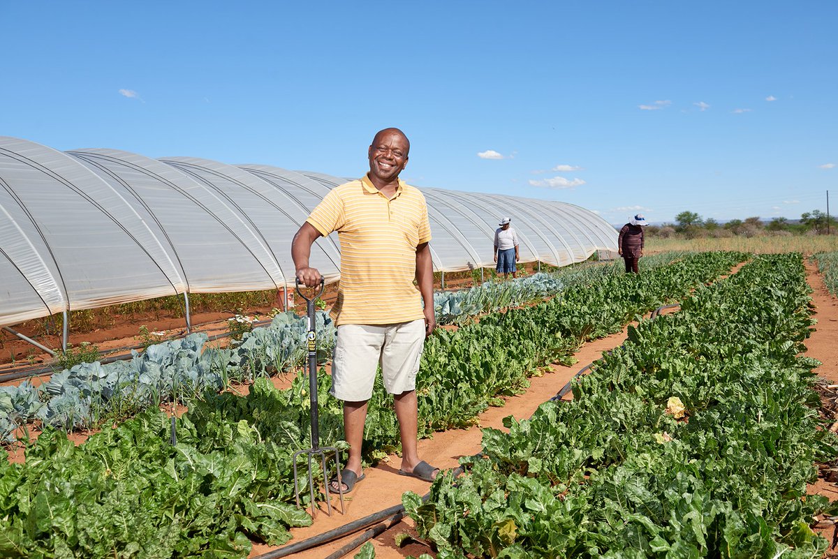 Visit selected <a href="/CheckersSA/">Checkers</a> stores on 18 May to support #FoodGardens like the one at Jericho Business Forum Co-Op who help feed the poorer members of their local community.

Let’s #FightHunger together -> bit.ly/2L0NA7B #MarketDay