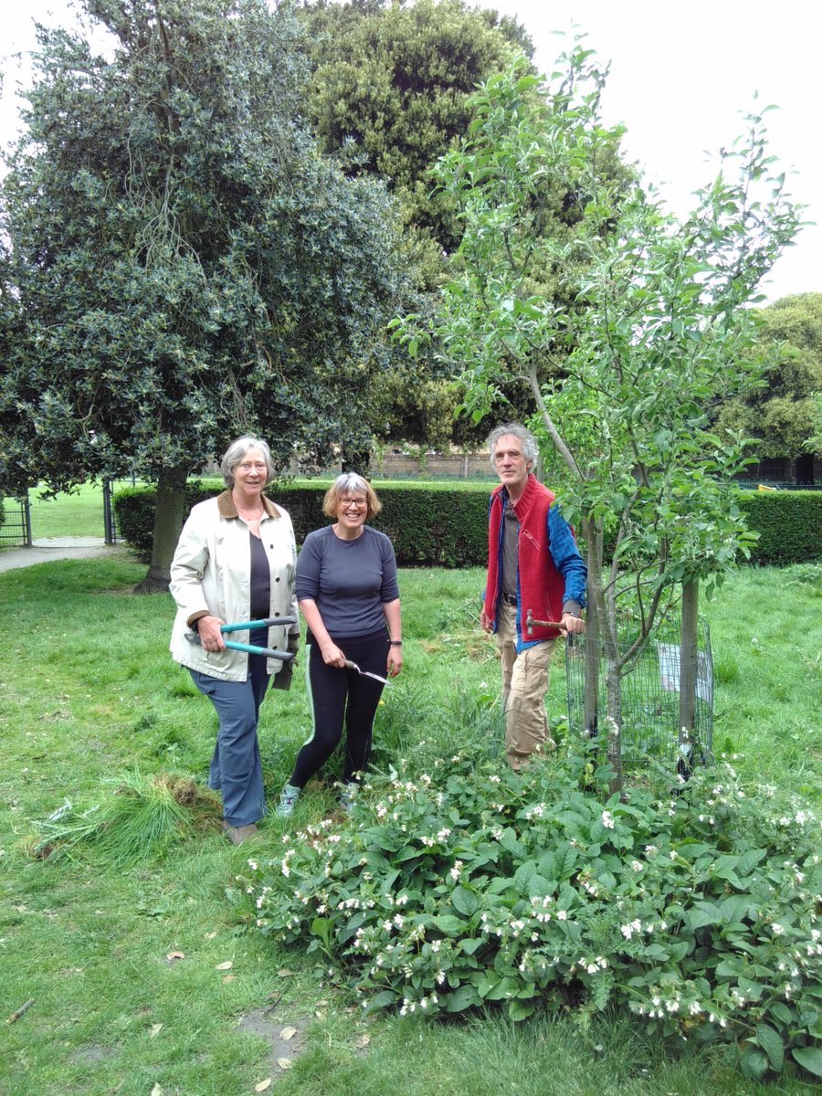 Richstories's tweet photo. @pipgreenwich we are getting very excited about the #RoyalWeeding
Its Plums versus Comfrey in the orchard  - we're going to Weed again (like we did last summer!)  Weeding dates on Facebook "Pip! Planting in the Pleasaunce"  Also local party for #RoyalWedding see @cafepleasaunce https://t.co/jE5y7Ifl47