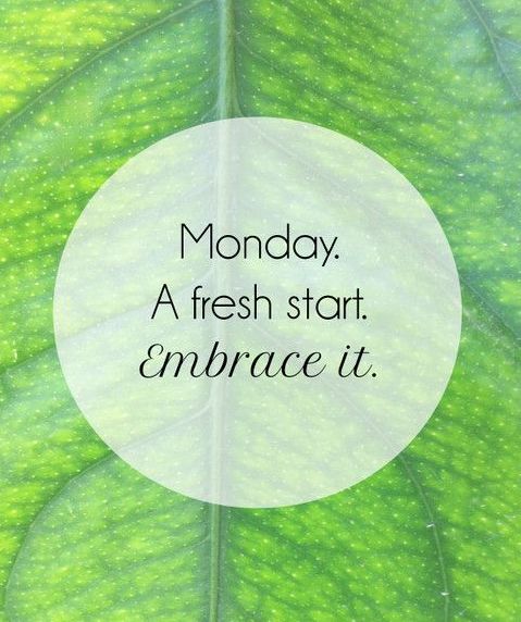 TriuneTherapy's tweet photo. Who's ready for a fresh start?
#Embrace #MondayMotivation #YouveGotThis #TriuneTherapy #FreshStart image via pinterest https://t.co/30nzdwuPHr