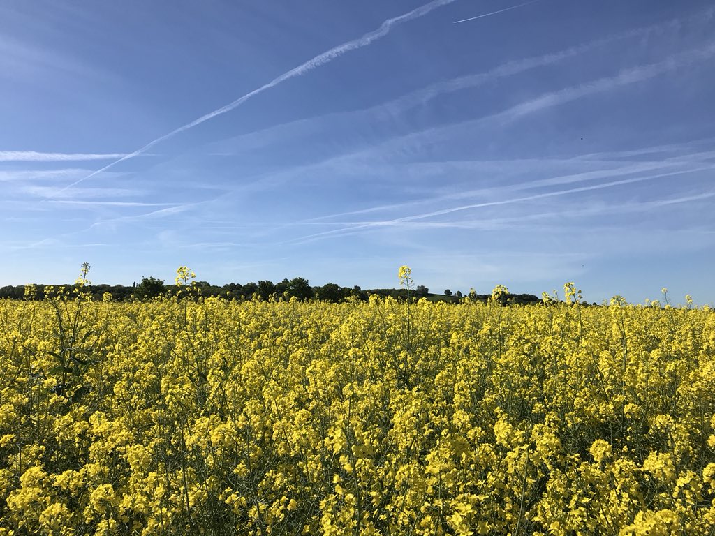 download meine jacobsleiter stufenweise in den kulinarischen himmel mit dem küchenchef des hotel louis