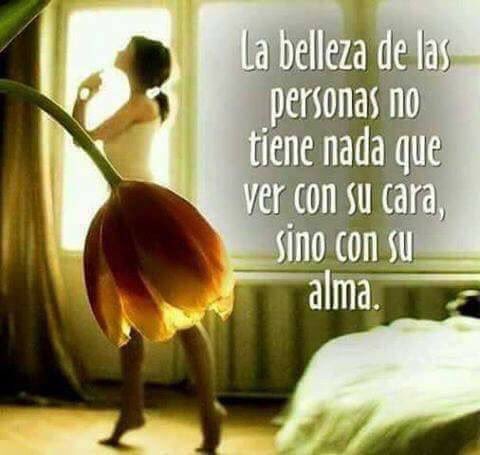 chandysalva's tweet photo. Muuuy buenos días a todos y cada uno de ustedes... que tengan una excelente semana!!! Cariños y cuídense mucho 🍀🍀🍀💕🍀🍀🍀💕🍀🍀🍀💕🍀🍀🍀💕🍀🍀🍀... https://t.co/TlS1e7Qe0D