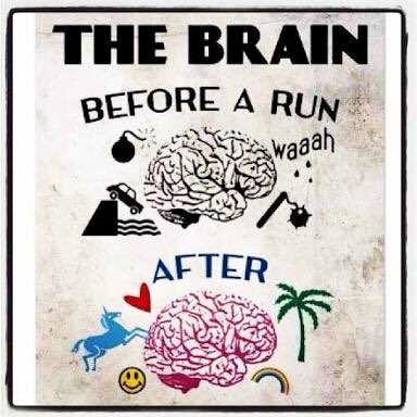 SACanRun on Twitter: "Running is known to release endorphins in the brain.  Endorphins act as a natural "drug" that make a person more energetic, more  awake and, yes, happier. The endorphins can