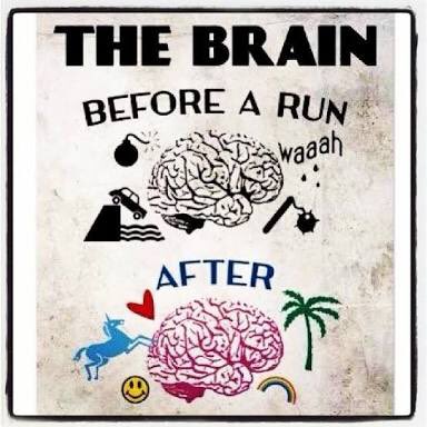 SACanRun on Twitter: "Running is known to release endorphins in the brain. Endorphins act as a natural "drug" that make a person more energetic, more awake and, yes, happier. The endorphins can