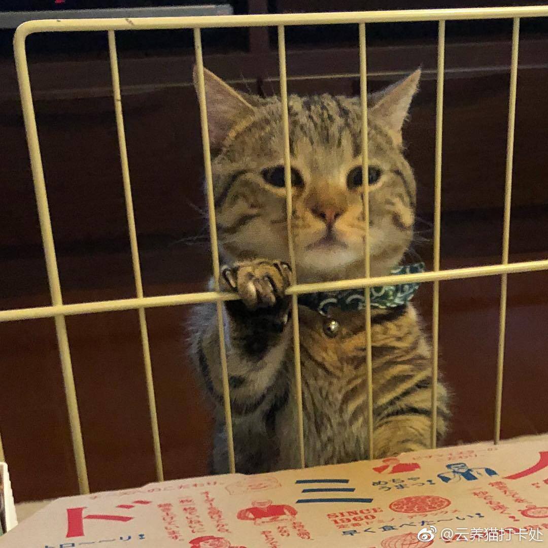 Still being lost in the univie haus