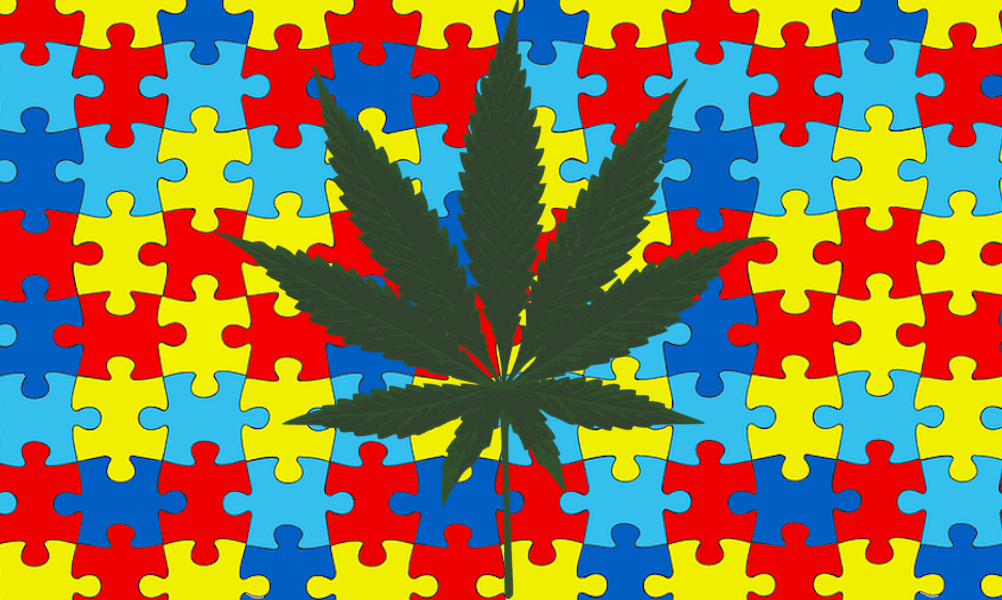 HIGH_TIMES_Mag's tweet photo. MAJOR Resources. Medical Cannabis Treatment for #Autism to Begin Clinical Trials. https://t.co/cvdVafHVVS #autismawareness https://t.co/eYqUctoinz