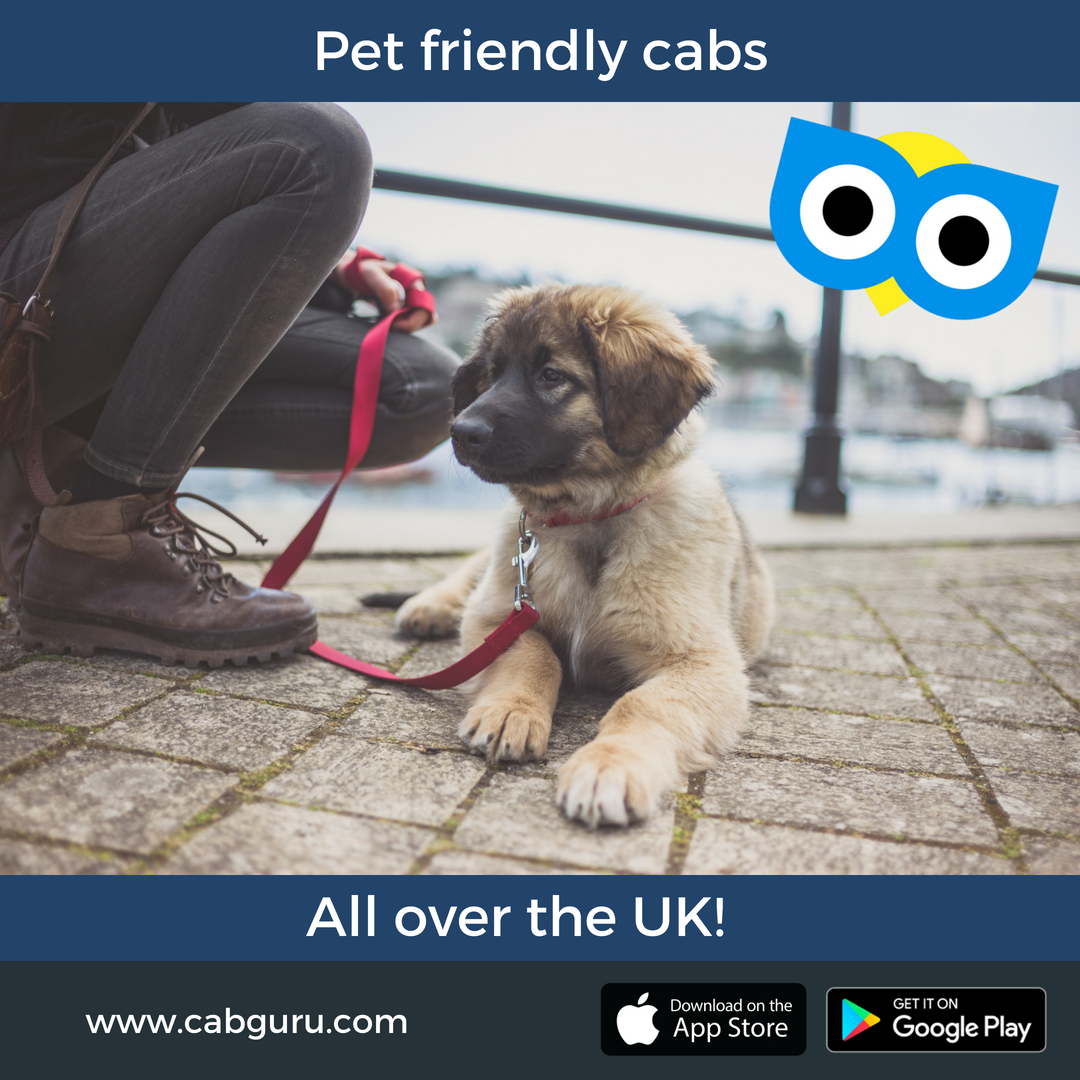 Cab Guru tweet media