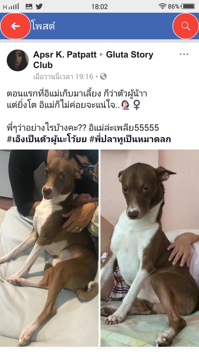 magicbelle__'s tweet photo. อีดอกกกกก ชอบน้องงงง555555555555555 ตร่กเว่อ อินเนอร์บั่บจัดเตม5555555555555 https://t.co/eMGmMilvL7