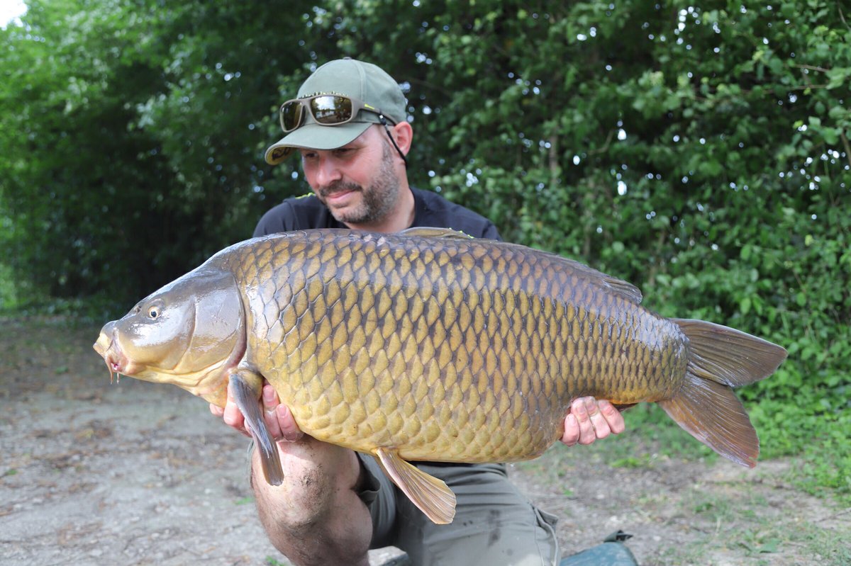 Dave Levy tweet media