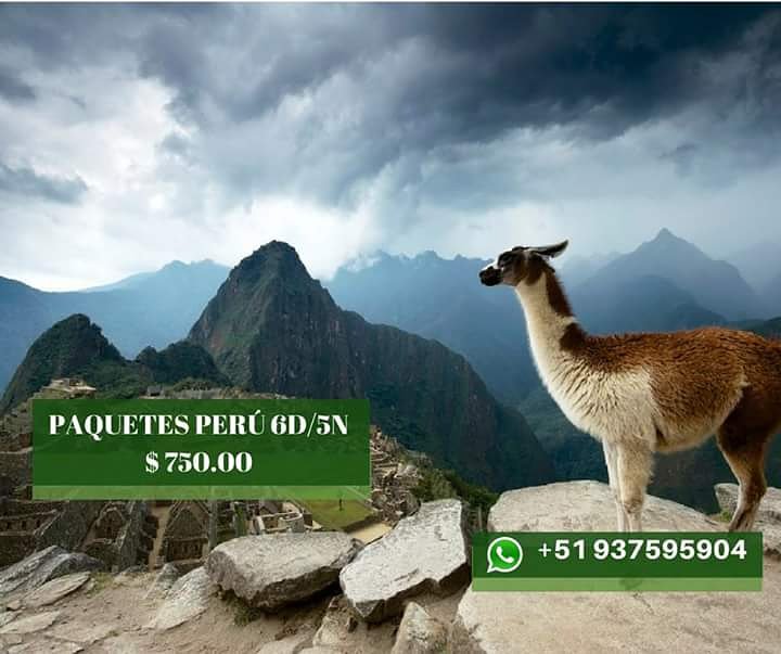 LPicchu tweet picture