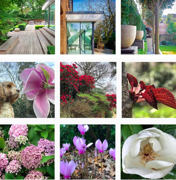 There's plenty of gardening inspiration on Instagram from SGD members, guaranteed to fuel your horticultural creativity whatever your style.  We've picked out 10 feeds we think are worth a closer look bit.ly/2rHOi0J