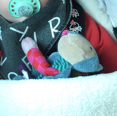 Juju_LaNantaise's tweet photo. // sos doudou perdu // lundi 14/05 dans le #busway vers 16h en direction de Foch-Cathedrale Victor est tout triste sans son #doudou #vilainspasbeaux de chez #moulinroty ... RT apprécié ! Merci @Twitter #nantes https://t.co/QyVQDQvQ8q