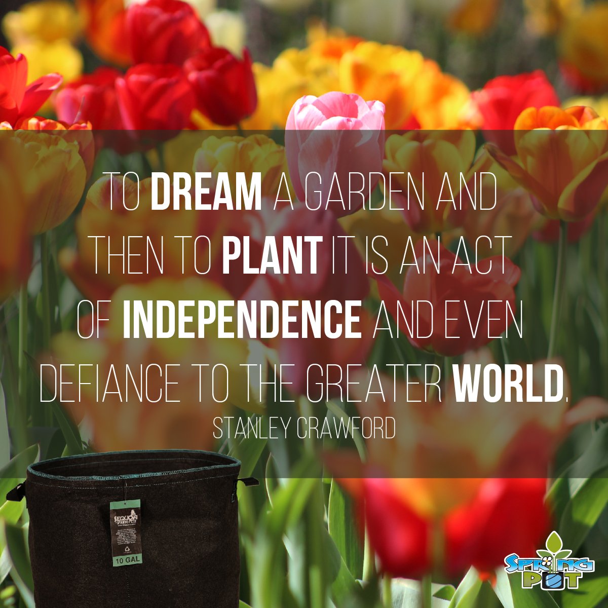REALspringPOT's tweet photo. #Gardening Turning your dream garden into a reality is so much more than plants and soil. #SpringPots #FabricPots https://t.co/WVuCH2sCLn