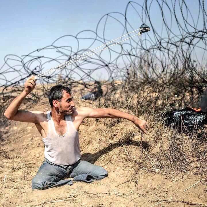 1001kelime's tweet photo. "İyi bilin ki Allahın lâneti zalimlerin üzerinedir" 

(Hûd Suresi / 18).

----------

Allah’ı zalimlerin yaptıklarından habersiz sanma! 
Allah, onları ancak gözlerin dehşetle bakakalacağı bir güne erteliyor.
(İbrahim Suresi / 42)

#Nakba70 #Kudüs #FreePalestine https://t.co/Yes0YJXM7b