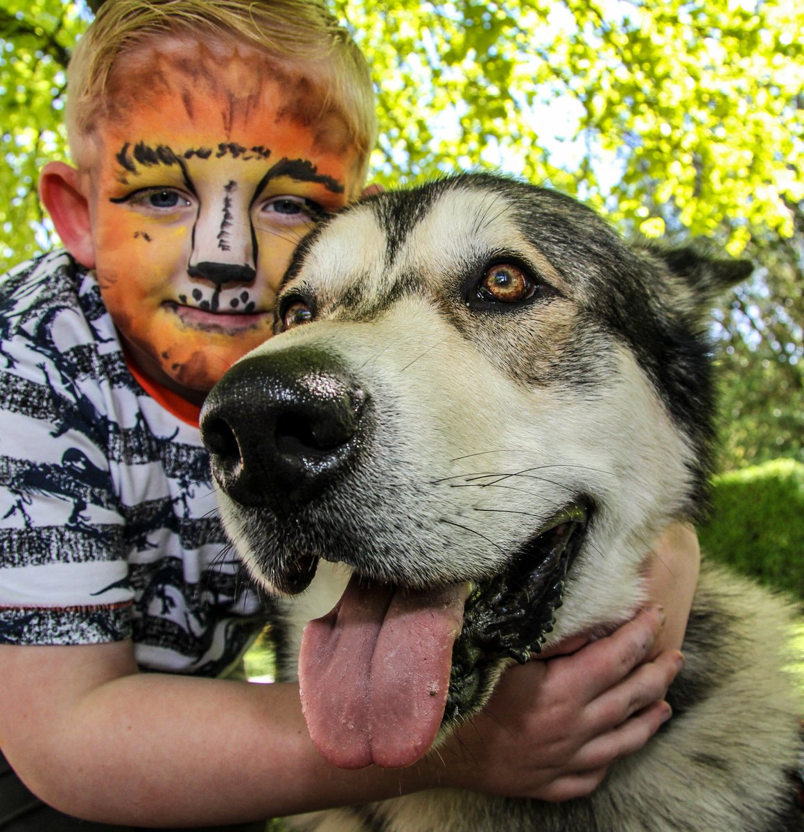 CancerCareLocal's tweet photo. Our Bark in the Park event was a great success at the weekend. Read more here: https://t.co/RXJCMhfbNj Additional photos will be uploaded to Facebook over the coming days so keep your eyes peeled for any pics of you and your dogs! #BarkinthePark @Lanesvets @animalcarelancs #dogs https://t.co/5cbMW6aVsW