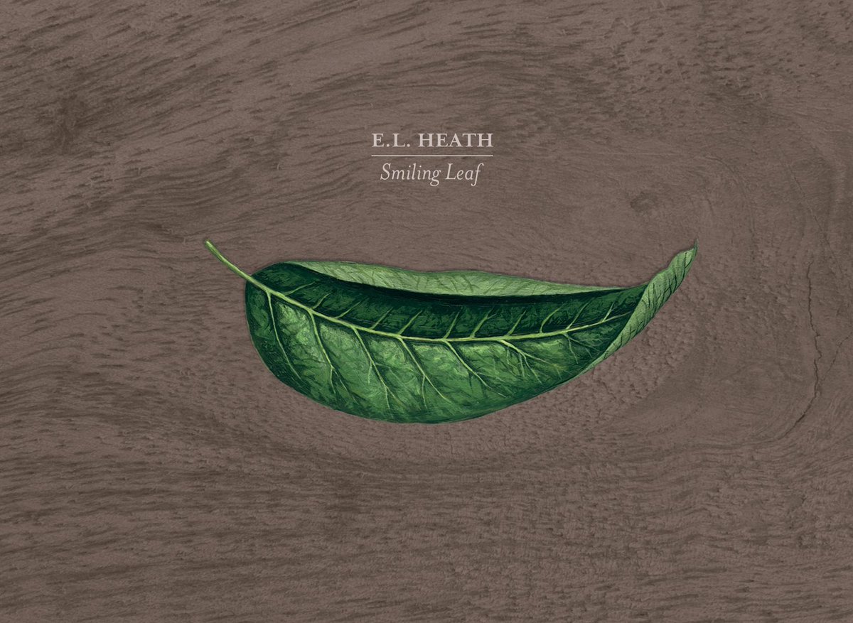 ‘Smiling Leaf’ by E.L. Heath, coming soon! waysideandwoodland.com/notes-on-a-smi…