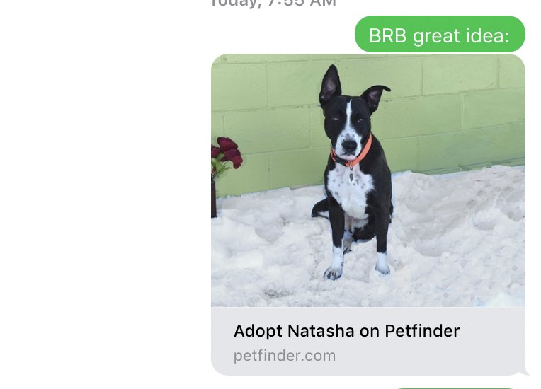 amcvittie's tweet photo. BFF-DVM and I, in a nutshell.

#WisdomCheck #ButPibbleBorder https://t.co/5vw9caHnUT