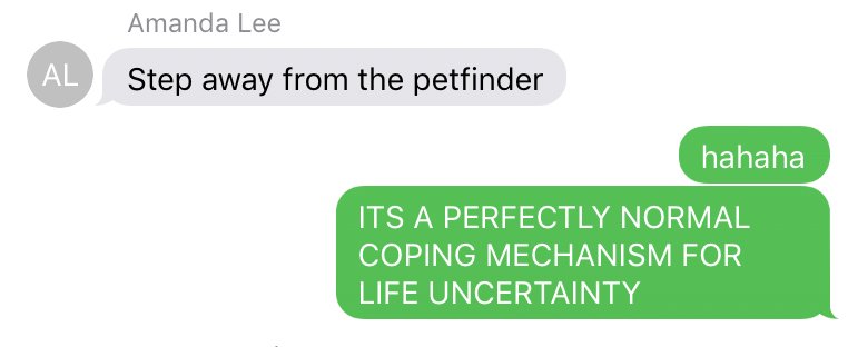amcvittie's tweet photo. BFF-DVM and I, in a nutshell.

#WisdomCheck #ButPibbleBorder https://t.co/5vw9caHnUT
