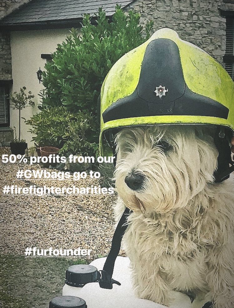 MaisyDuffle's tweet photo. Can wait til later when me and #duffs are going to #Penarth firestation for our supper #goodwashco to raise awareness for #NationalVegetarianWeek #goodveggie #westie 🔥 https://t.co/cr1RSrqdN2