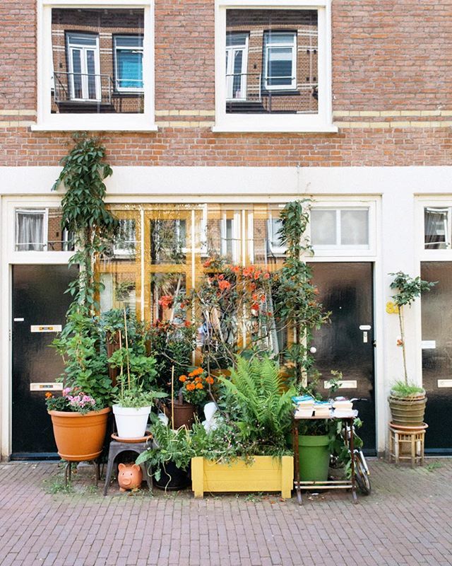 🍃🌺🍀🌻🌱🌹🌿#frontyardgoals ift.tt/2rGgVwb