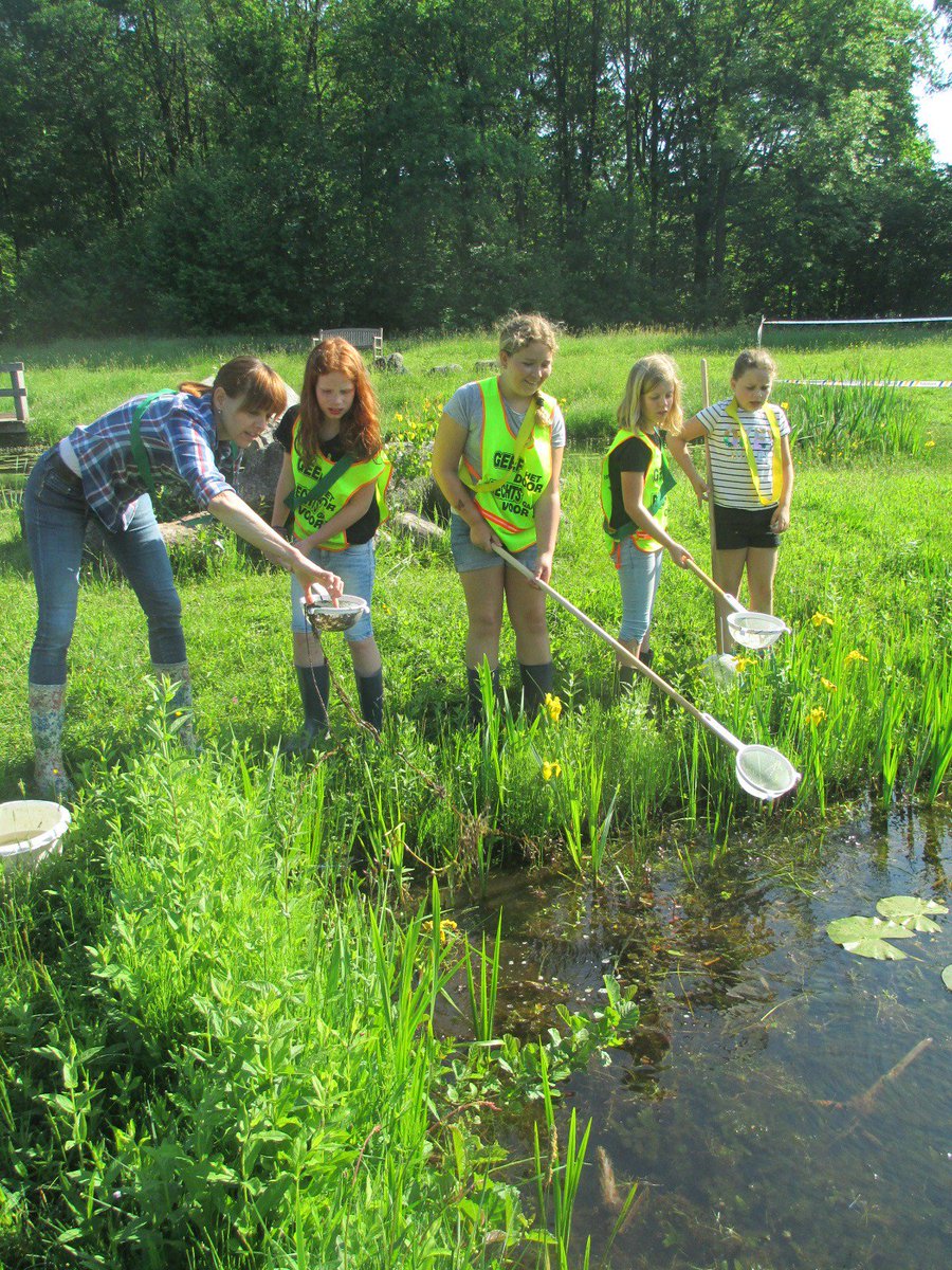 Zeer geslaagd waterdiertjesproject voor leerlingen groep 6. Schoolgidsen <a href="/IVNNederland/">IVN Natuureducatie</a> (afd.Losser) bedankt. Voor meer foto's kunt u terecht op onze facebookpagina.