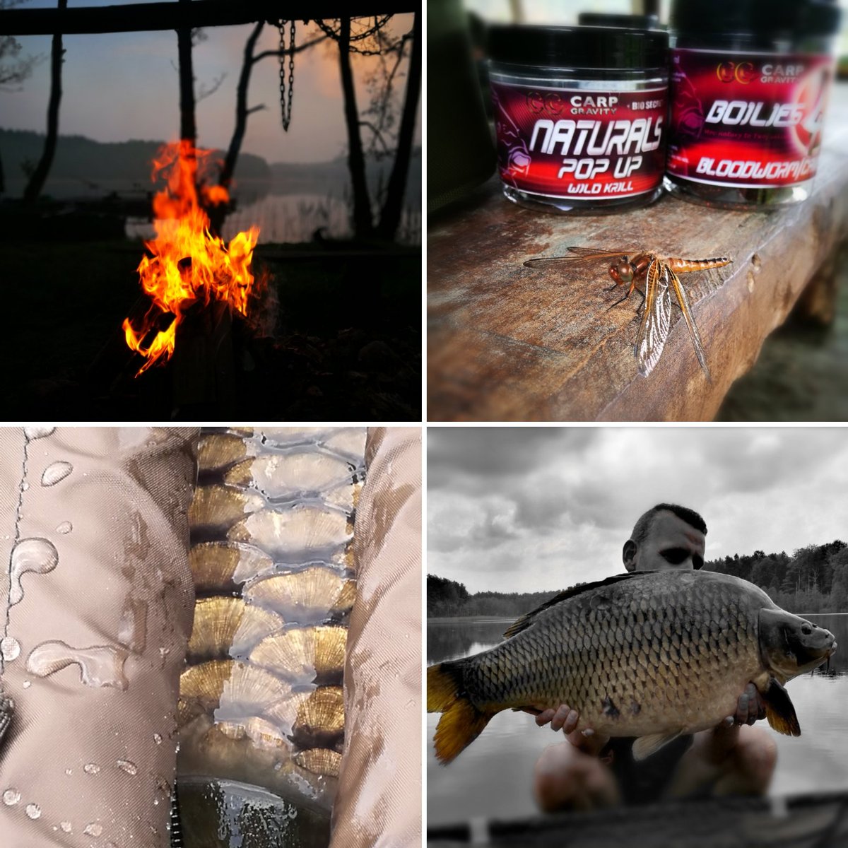 CarpFuks's tweet image. ***Fishing...*** .. is more than a hobby! Fishing is passion, lifestyle and time with good friends. It's a little adventure and it's time to clear your mind.
