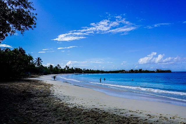 MailleRebelle's tweet photo. Avril 2018 - Martinique - Les Salines Beach 
La plage des Salines est considérée comme la plus belle plage de la Martinique ! Et c’est vrai qu’elle est magnifique, surtout le matin quand les gens ne sont pas encore tous là ! Mais pas de problème, il y a de la place pour tout… https://t.co/inBJSXLHLr