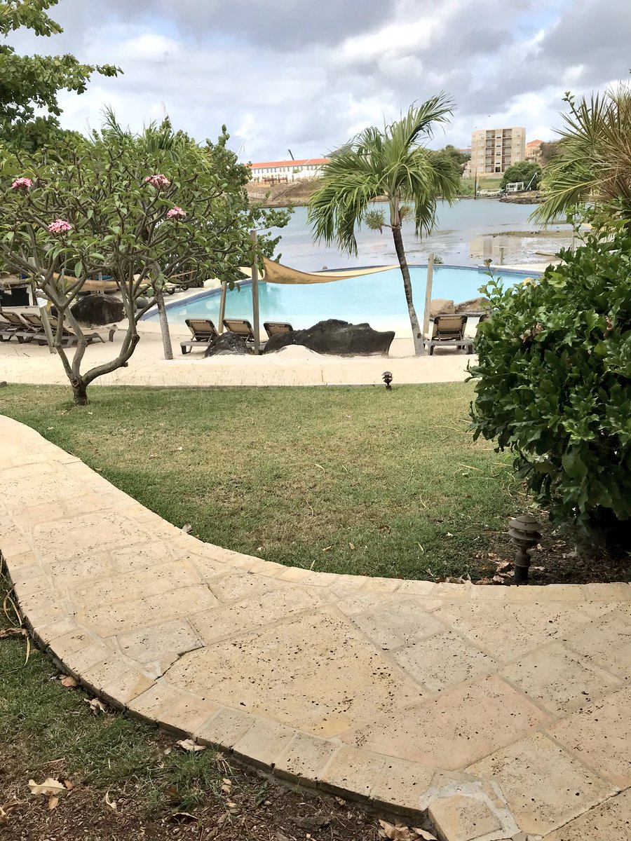 Francesca Torrent tweet media