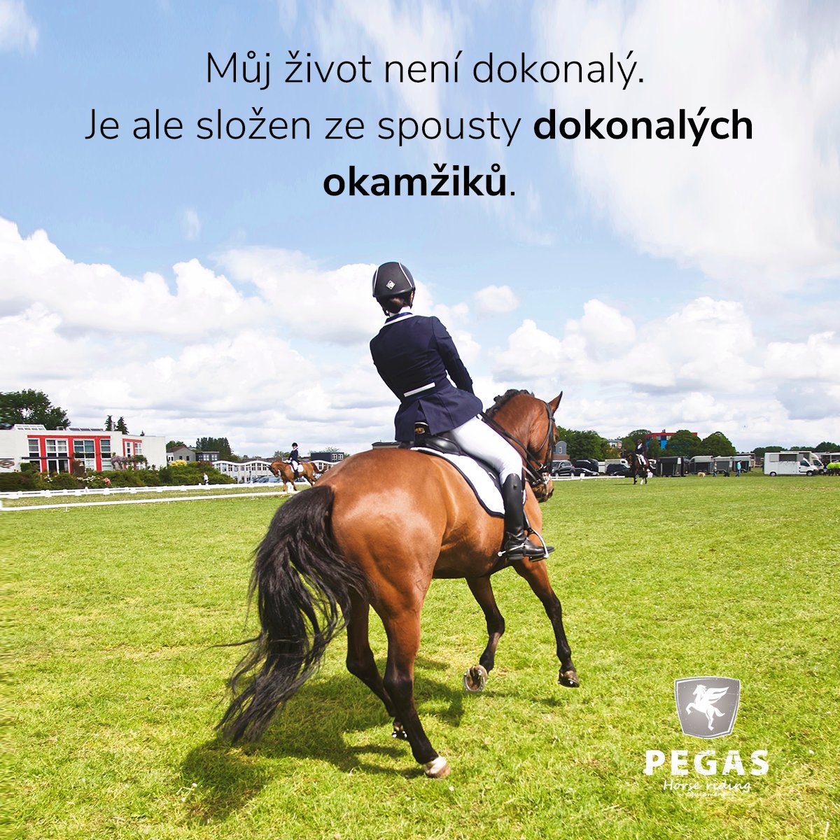 jezdectvi's tweet photo. Můj život není dokonalý. Je ale složen ze spousty dokonalých okamžiků. :)

Kvalitní jezdecké vybavení ➡ https://t.co/OqvOmiw0MX https://t.co/ARQPEf4LPf
