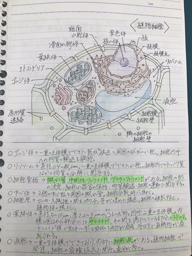 東京医薬専門学校 臨床工学技士科 Twitterissa 1年生 クラスの為のまとめノート クラスの為により分かりやすく より見やすくまとめてくれました 今後もチームの為に宜しくお願いします 東京医薬 臨床工学技士 1年 生物学 チームの為に 勉強 クラスに