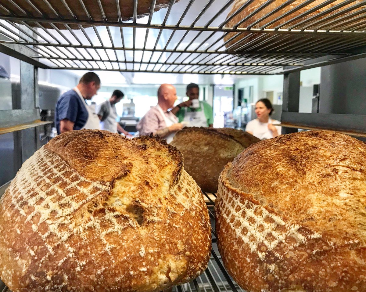 brook_food's tweet photo. Baking bread in the Rofco B40 with @season_adam... delicious π #realbread #bakeryequipment #baking #bakery #testbakery #bakerycourse #rofco #rofcob40 https://t.co/EQbSHqWA0n