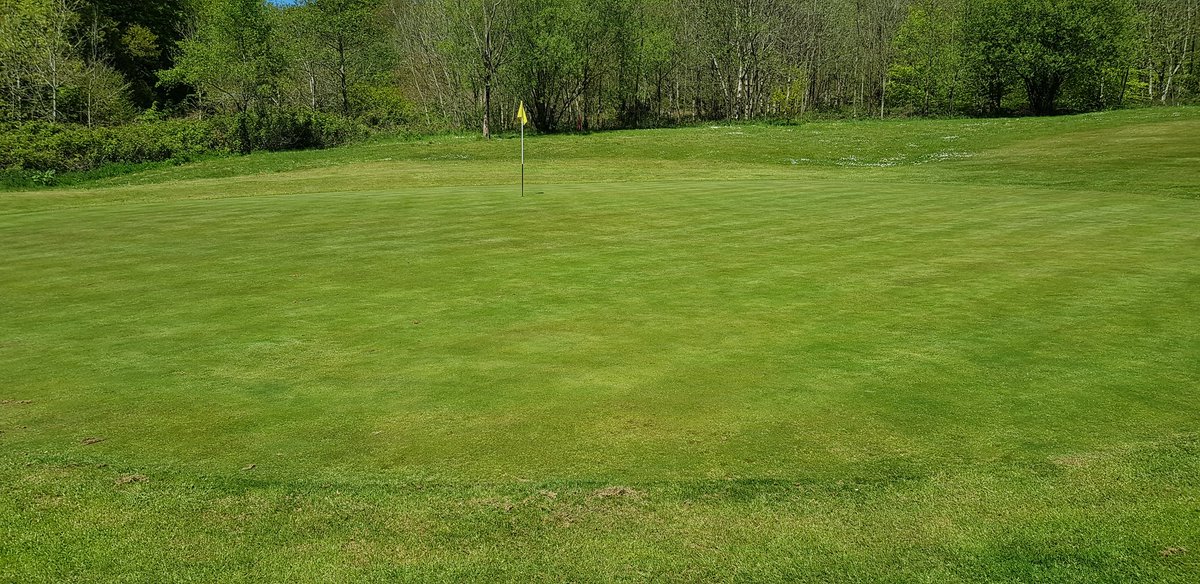SymbioUK's tweet photo. RT @MHConsultancy06: Slowly but surely @ridgeway_golf @LeeBromleyGolf soil biology is starting to improve these greens with @SymbioUK #greencircle #compostteas #liquidaeration https://t.co/U5bpSC065Y
