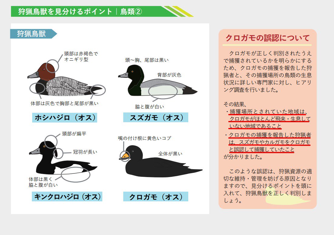 判別の難しい鳥獣の見分け方を含む狩猟鳥獣判別方法を整理した情報提供媒体 っぽいのが出たので見ていくよー Togetter