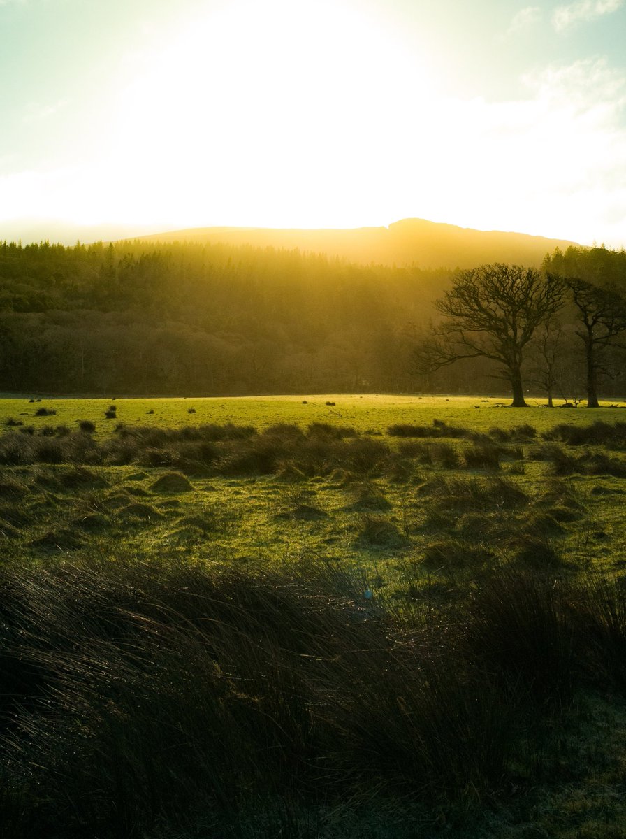 せお アイルランド キラーニー国立公園の斜陽 カメラ好きな人と繋がりたい カメラ好きと繋がりたい カメラ男子 アイルランド キラーニー ヨーロッパ Ireland Landscapephotography Follow