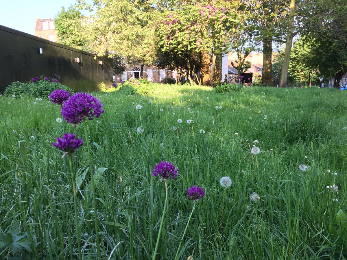 gengen5698's tweet photo. All the balls are coming out from the ground! What a great time of the year. - Kennington Park https://t.co/cvG3swNMNt